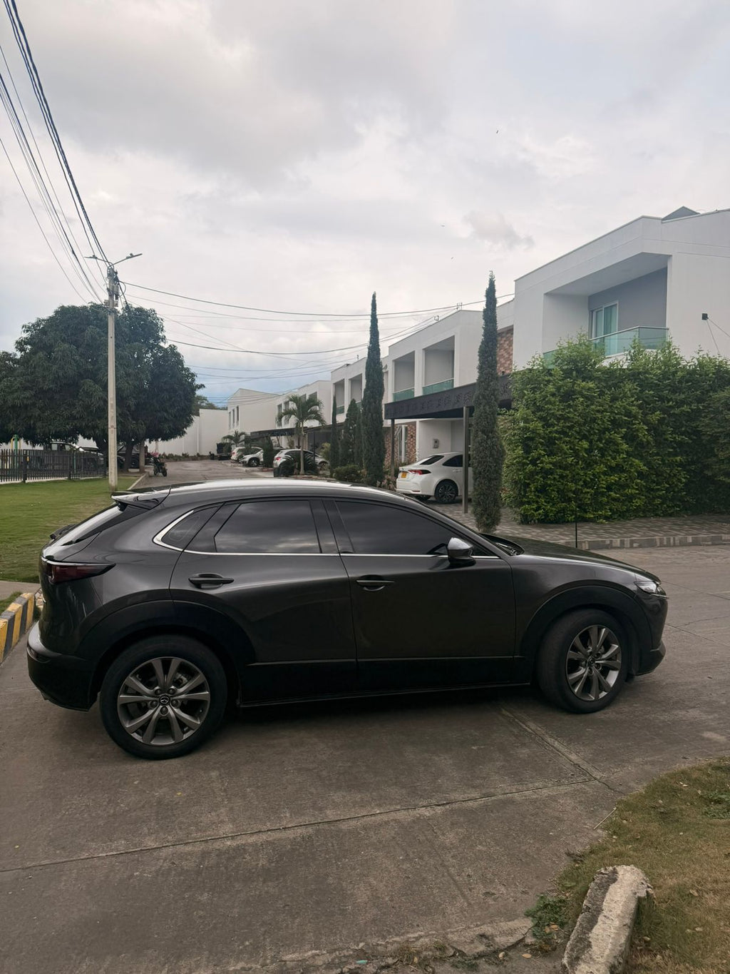 STIKER GANADOR(NUMERO)