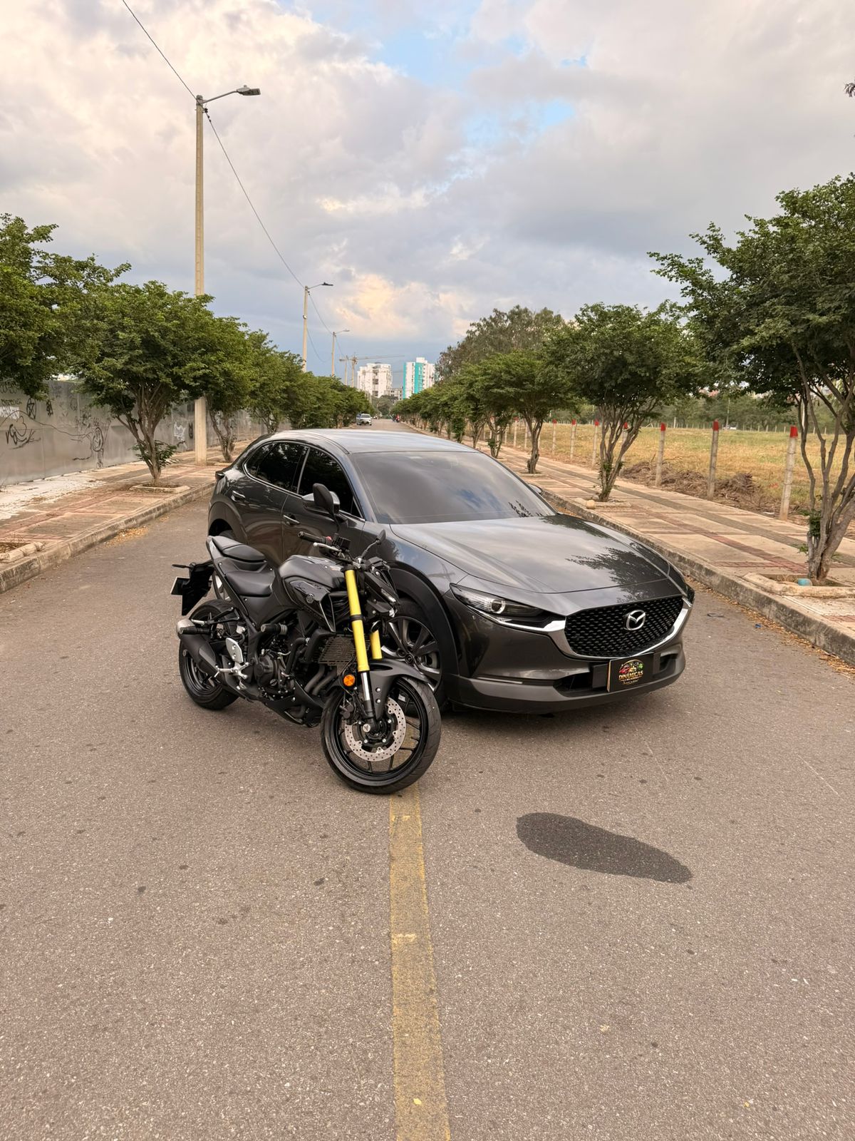 STIKER GANADOR(NUMERO)